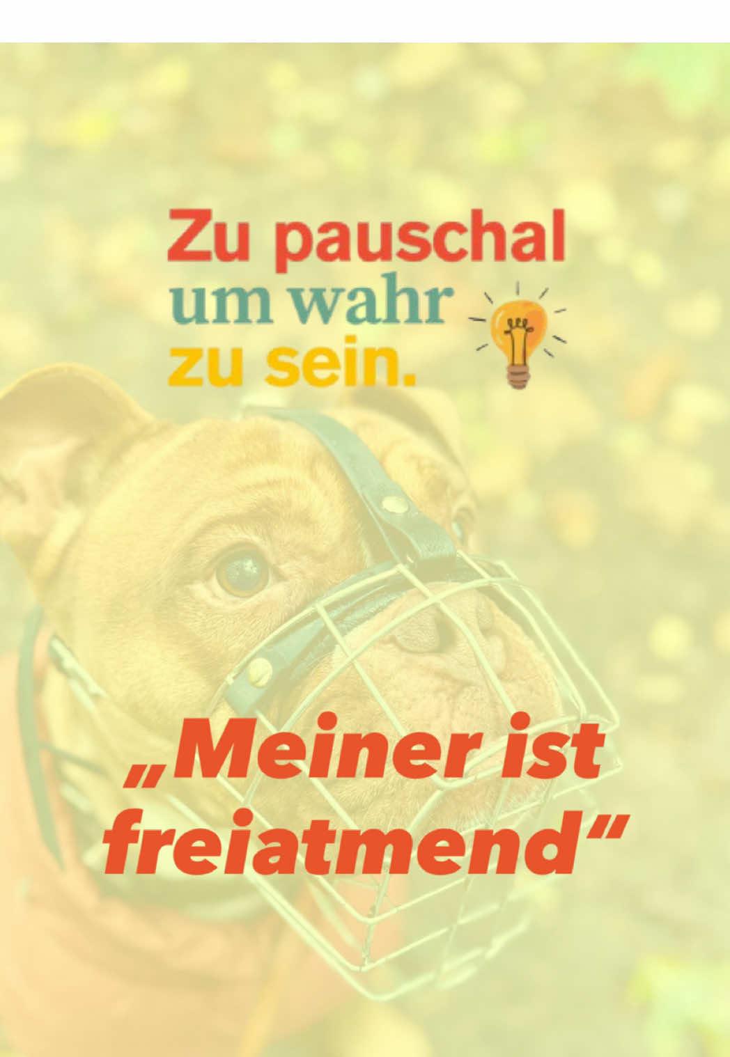 @Antonia | Hundetrainerin