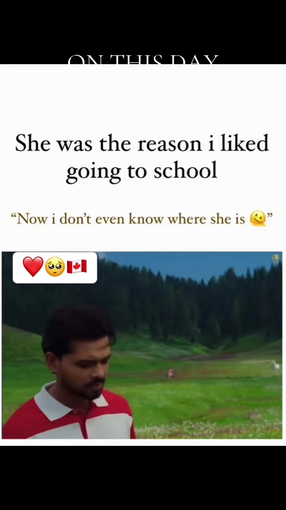@vehlijanta761