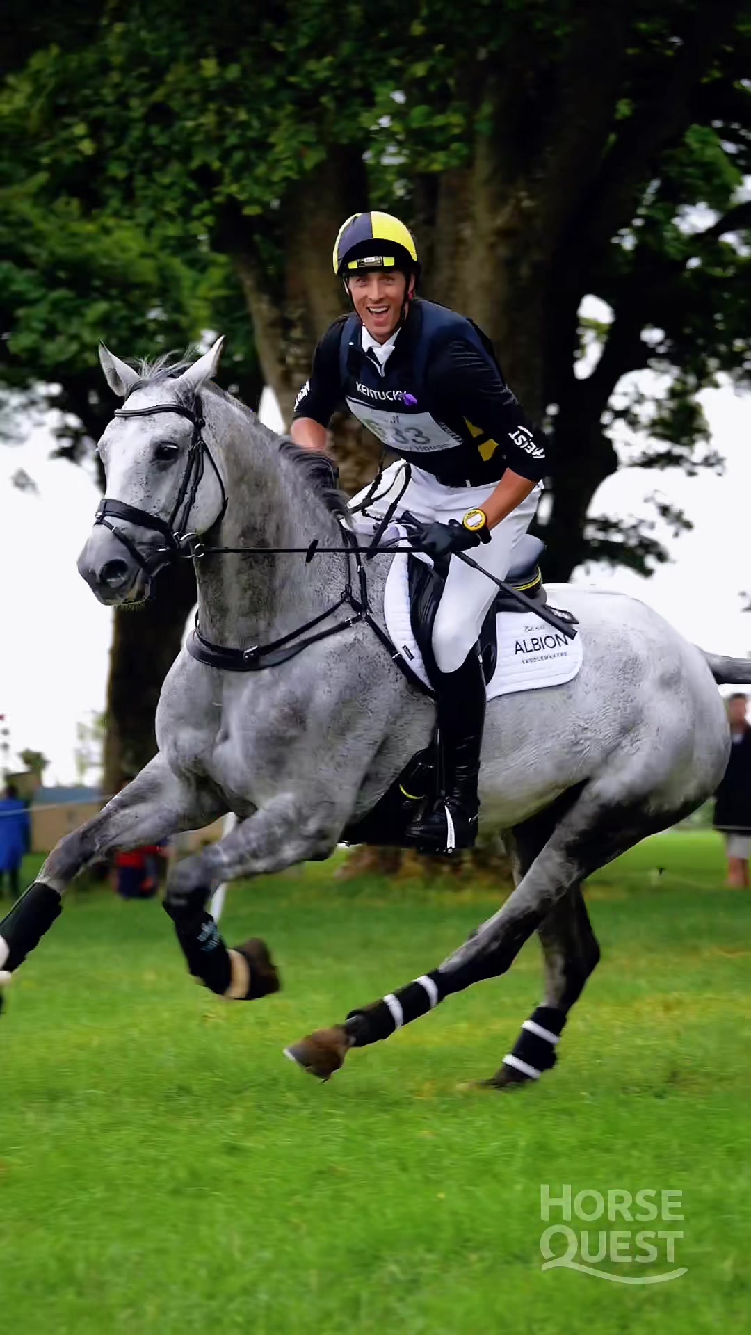 @HorseQuest - Horses for Sale