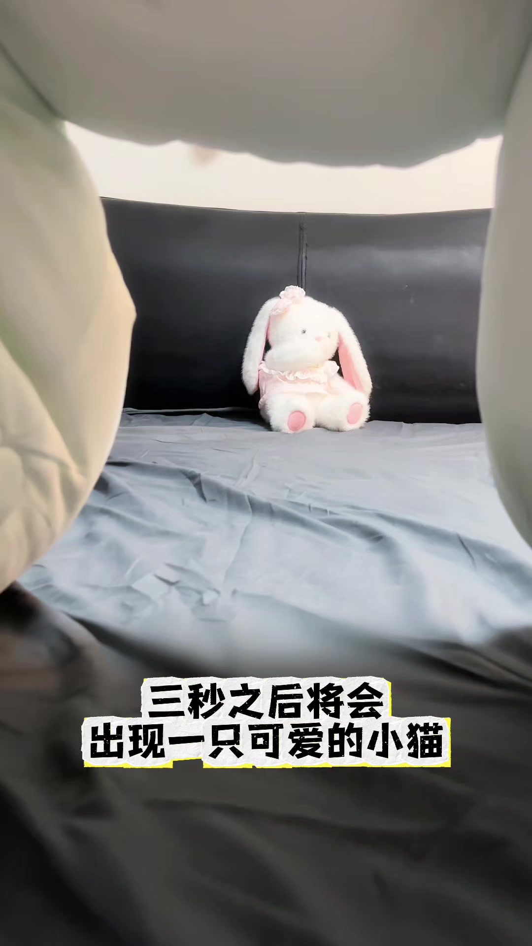 @吴嘉茹-吴双茹-吴秋茹♥️
