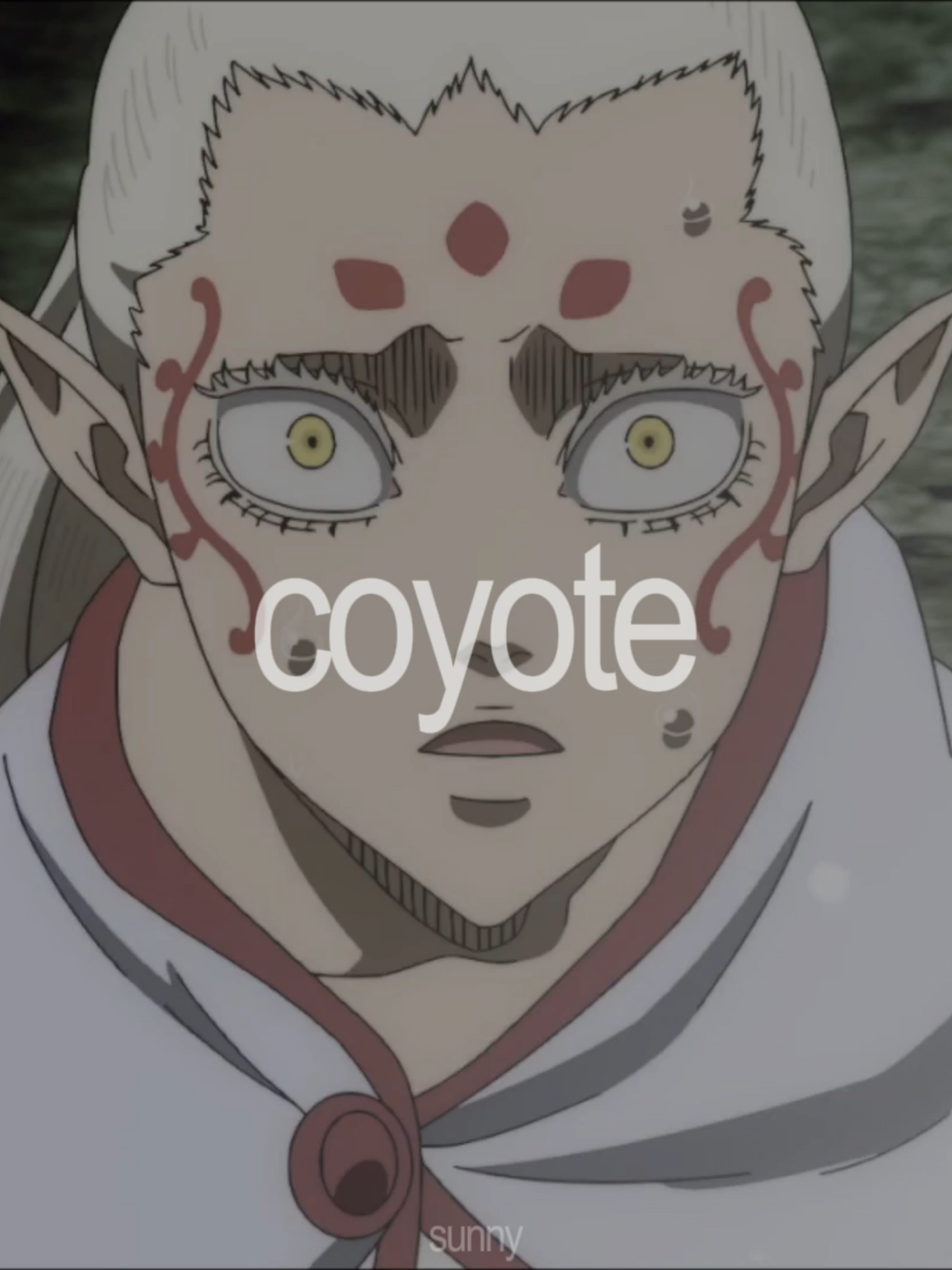 @sunny (loves patri)