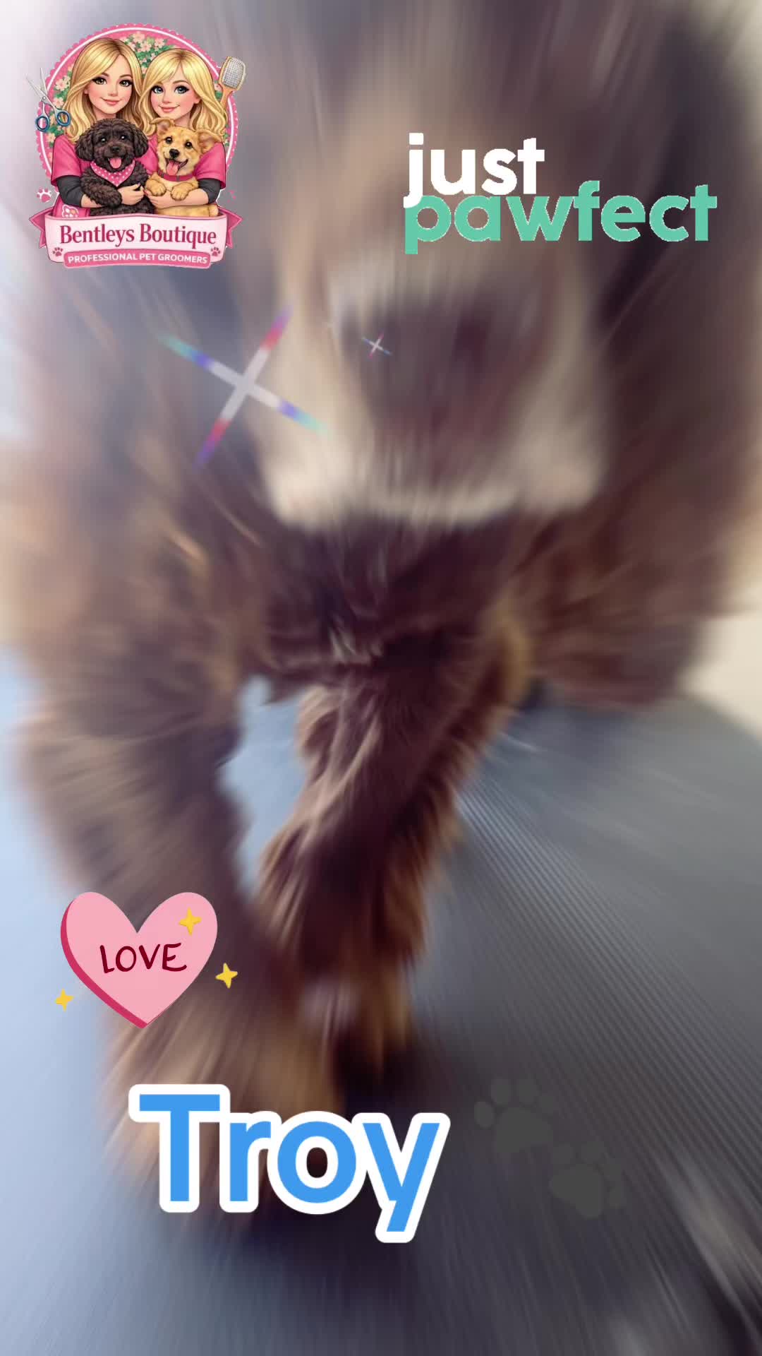 @Bentleys Boutique Pet Groomers