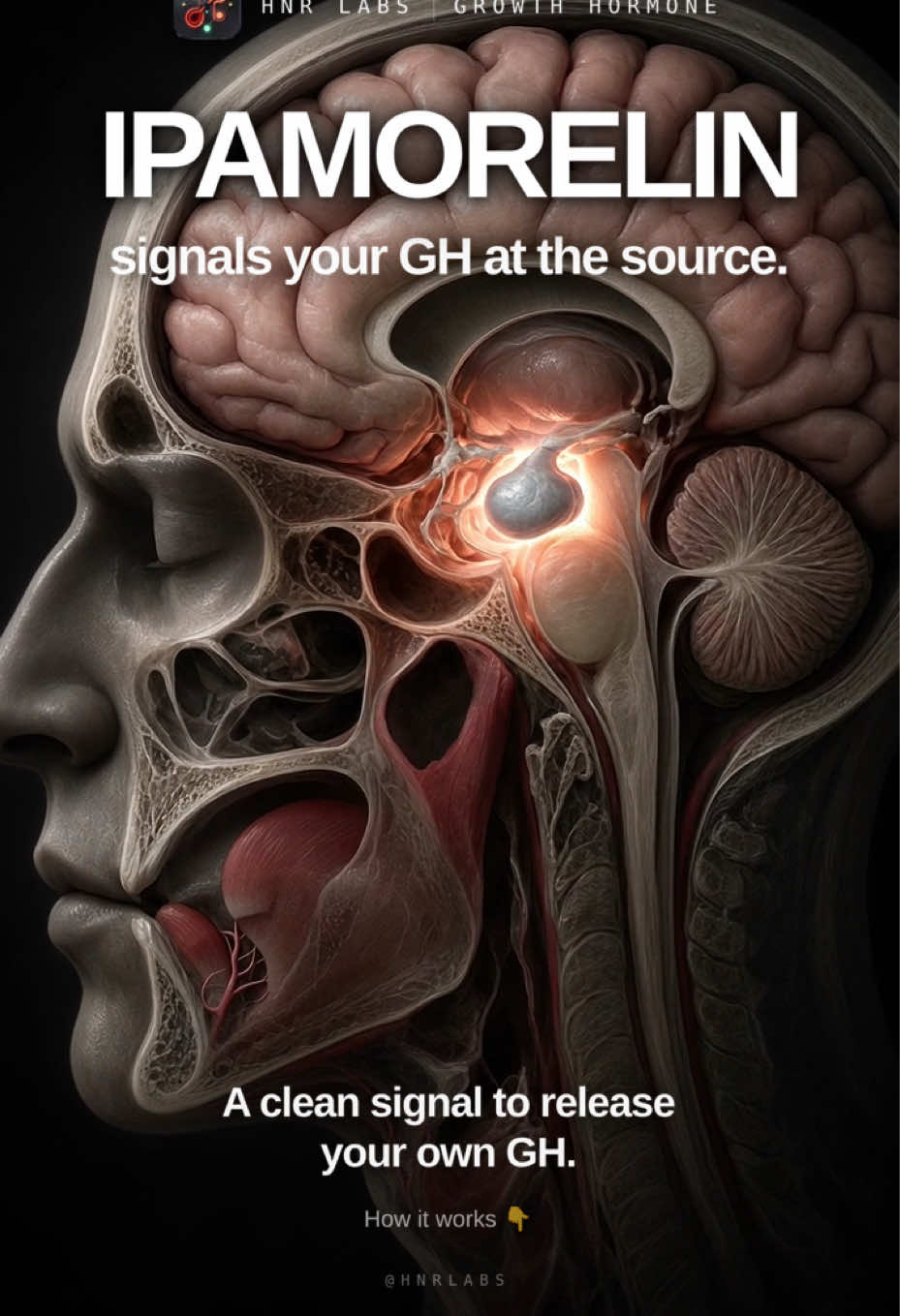@HNR Labs