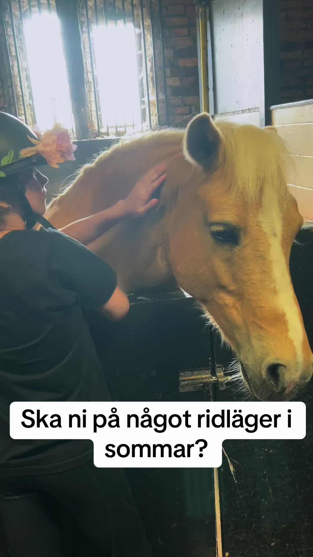 @skritt.trav.galopp