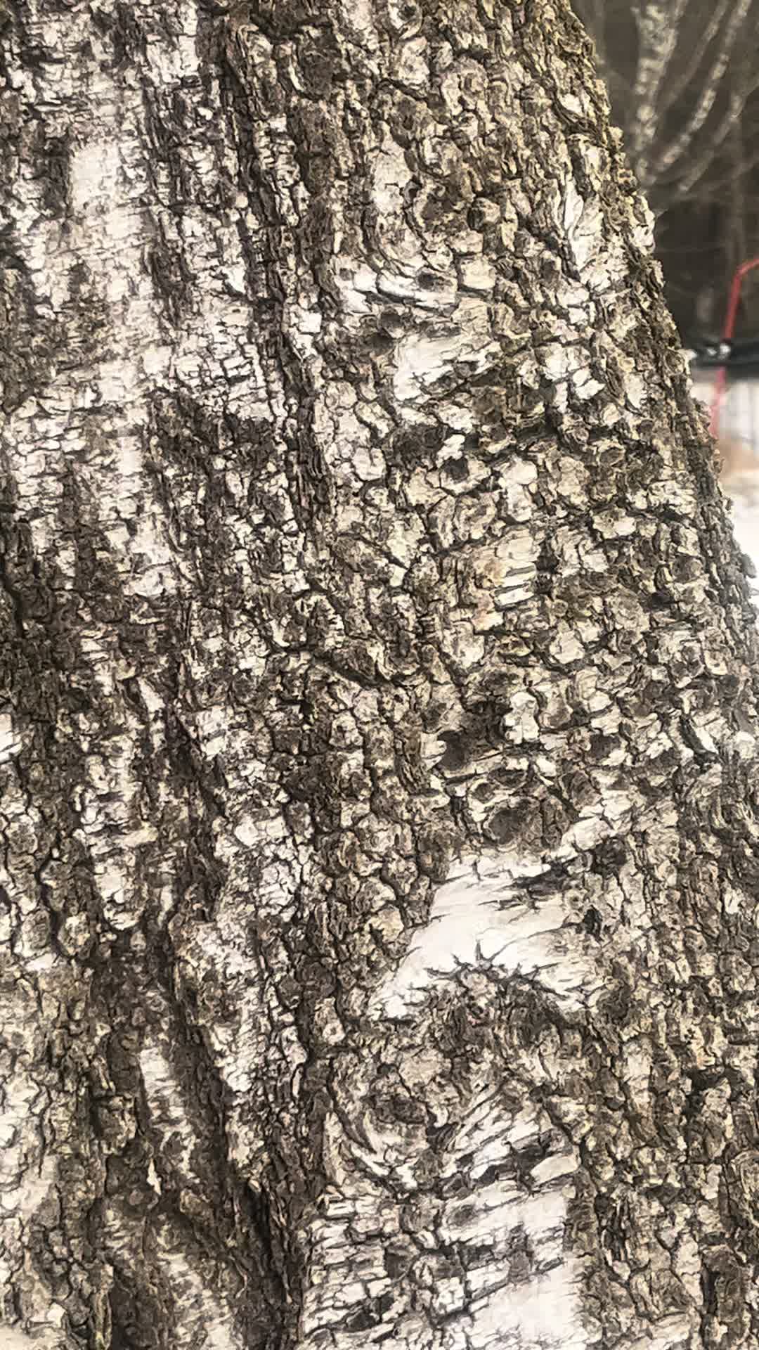 @𝒦𝓇𝓎𝑒𝓍🌴