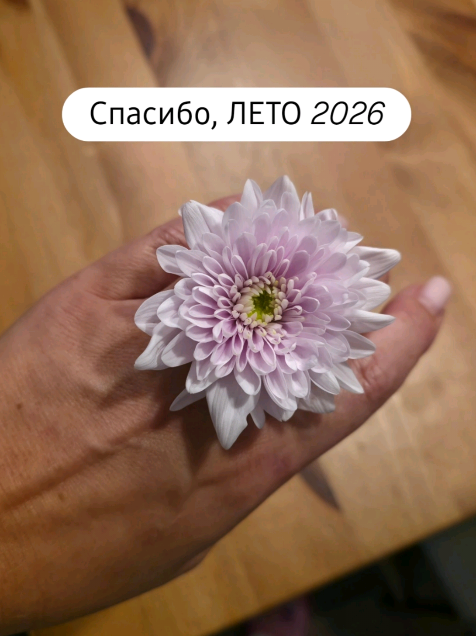 @Elena