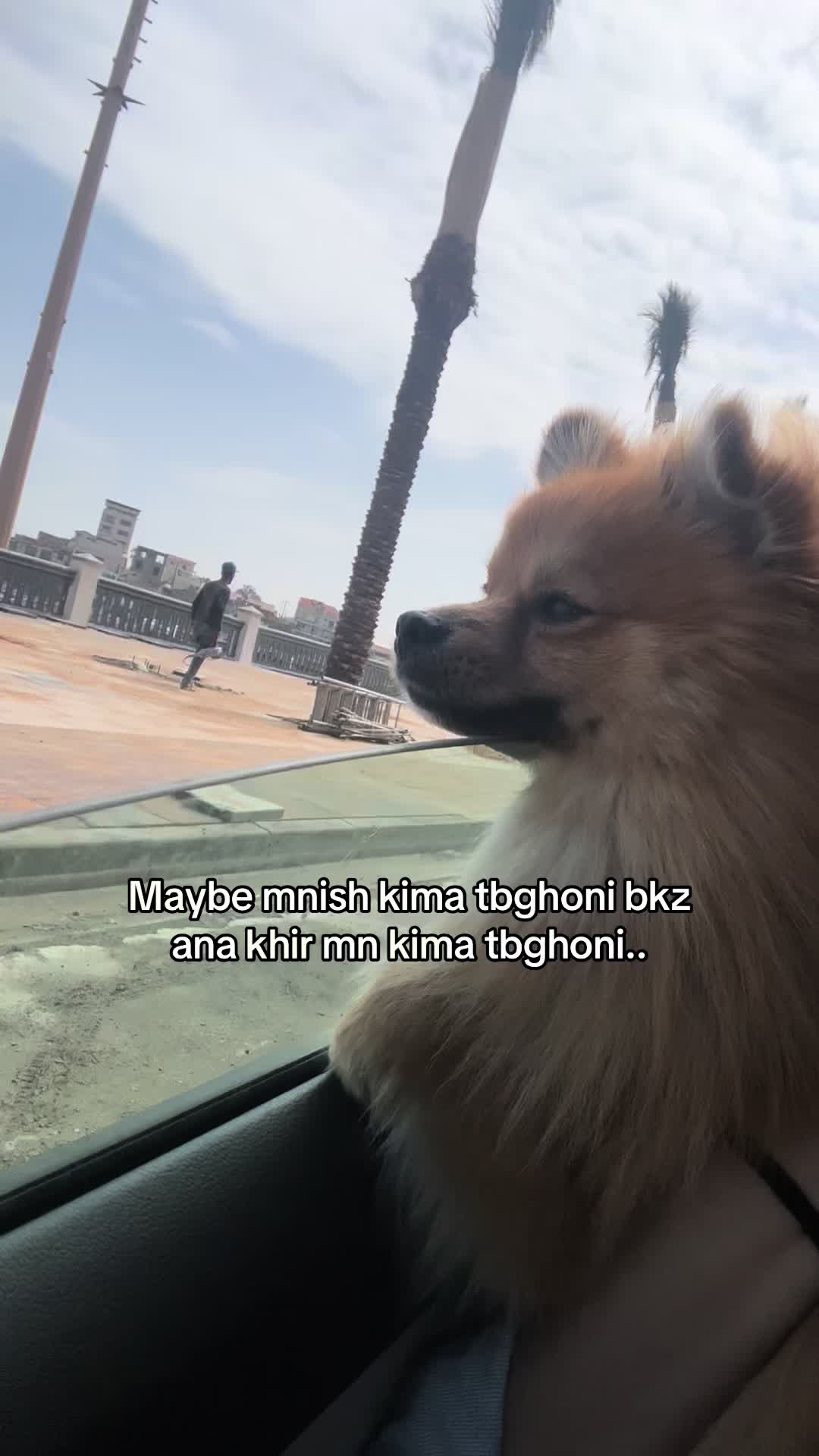 @HADYL