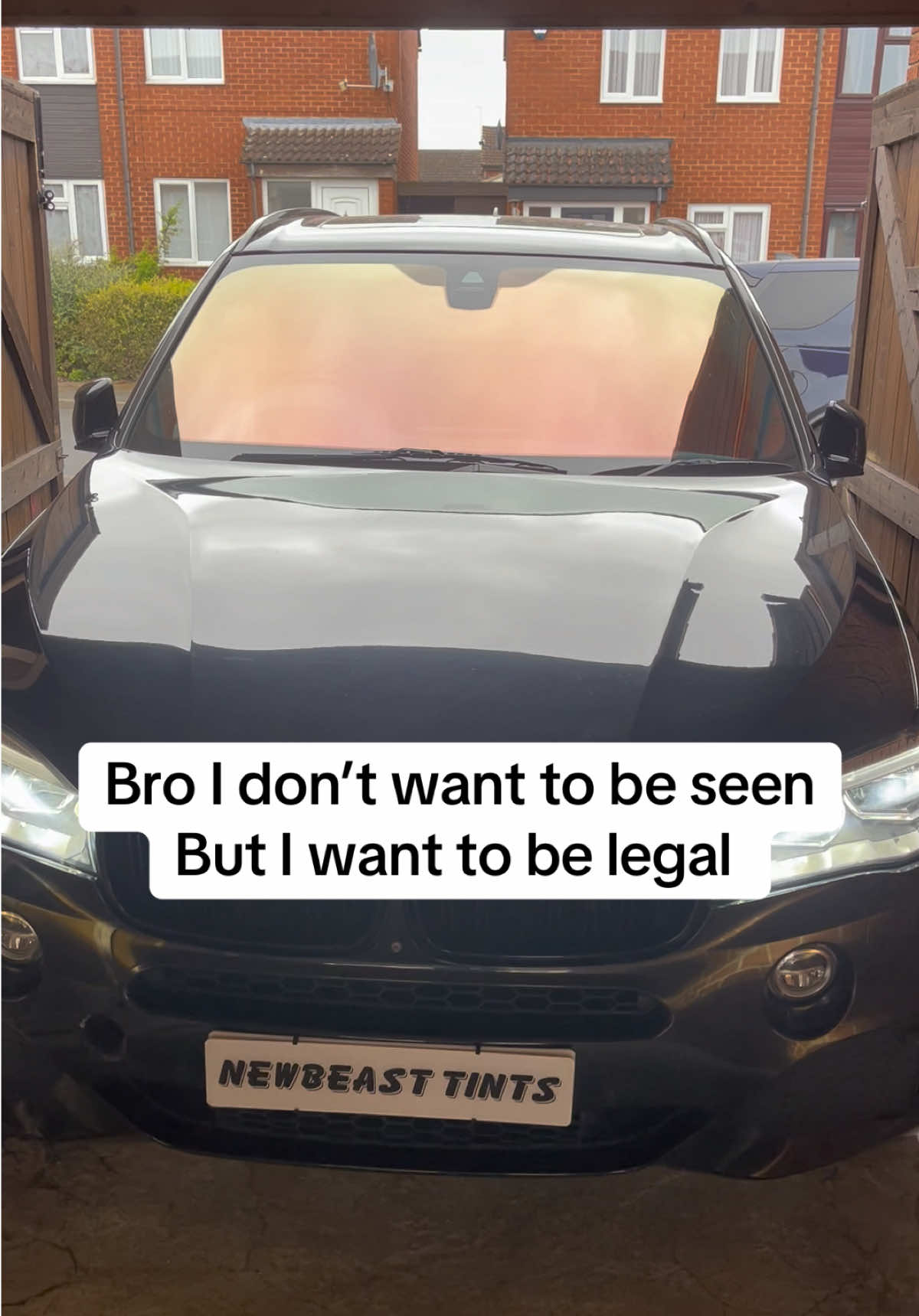 @NewBeast Tint