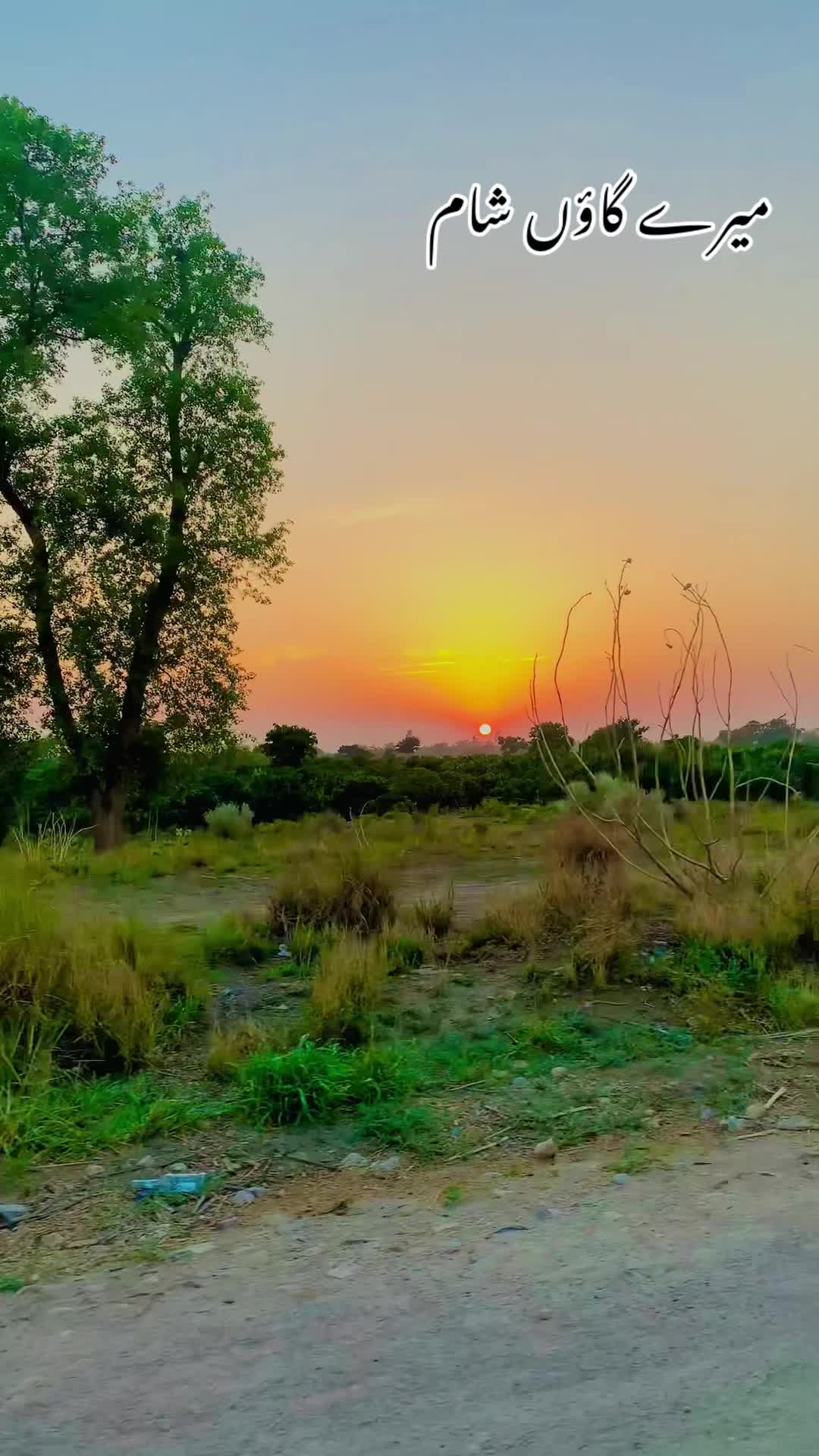 @پنجاب زادہ🌿