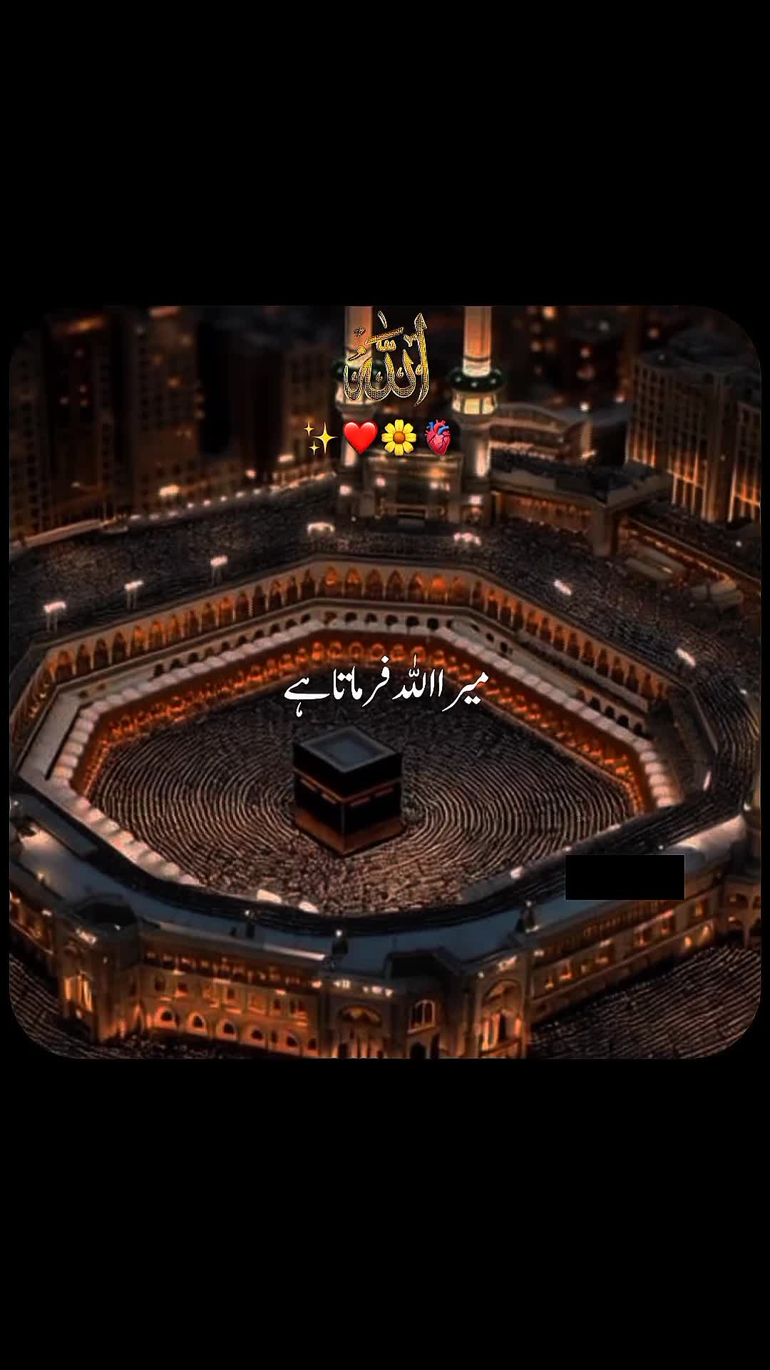 @✨dilawar edits✨