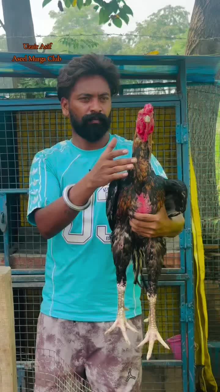 @Harinder Rajput 🇮🇳
