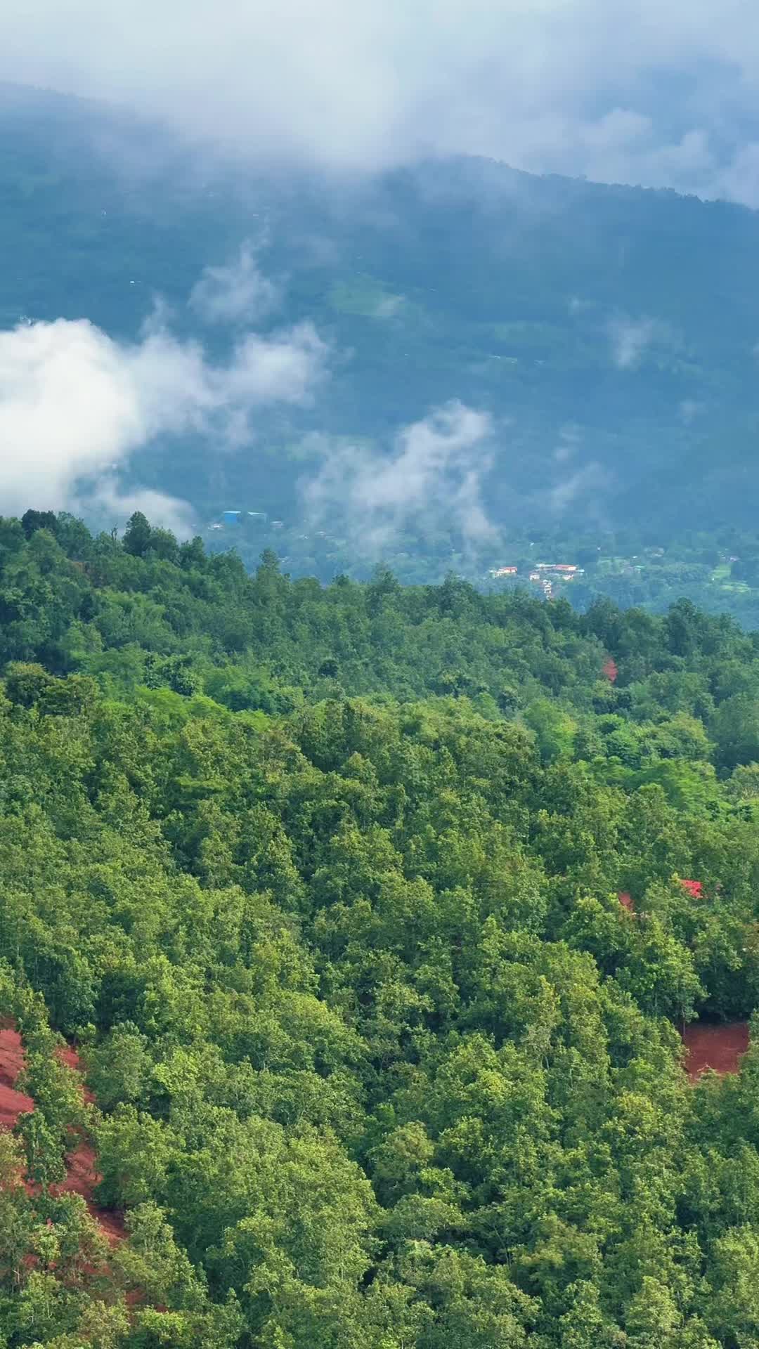 @ThulunggeMaailaa😉🤟