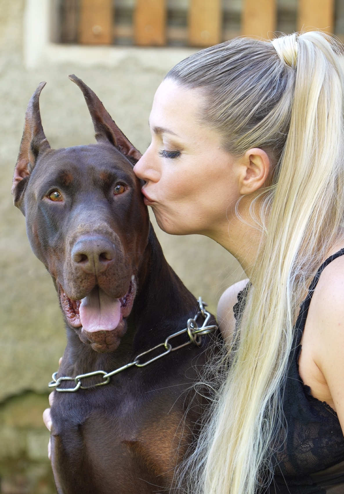 @GRAREVA dobermanns