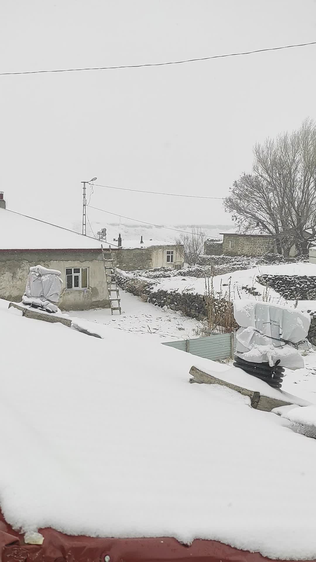 @fecri_yıldız