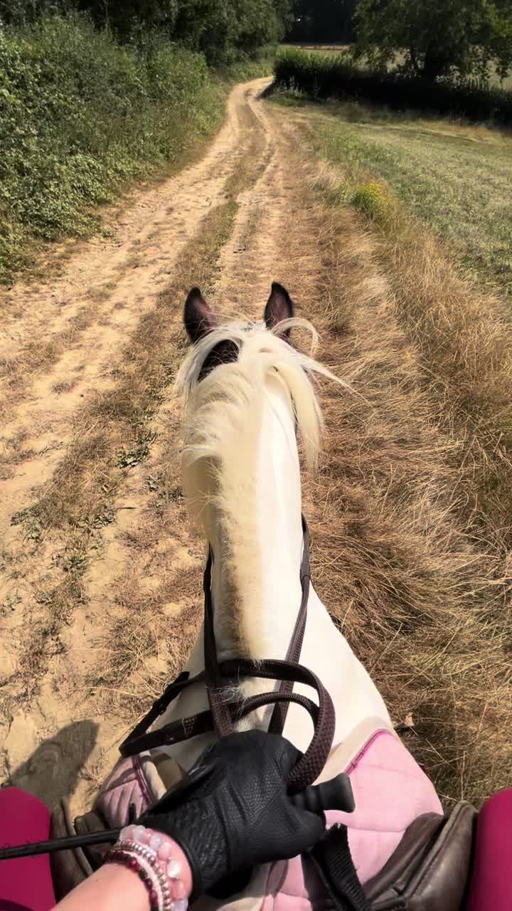 @Kitty equestrian.