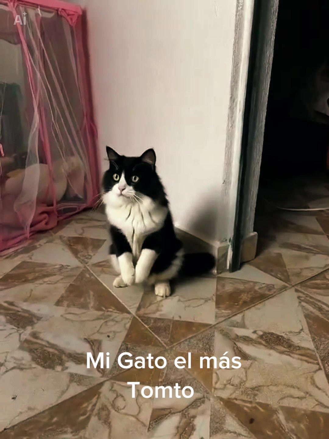 @Claudia Sandoval