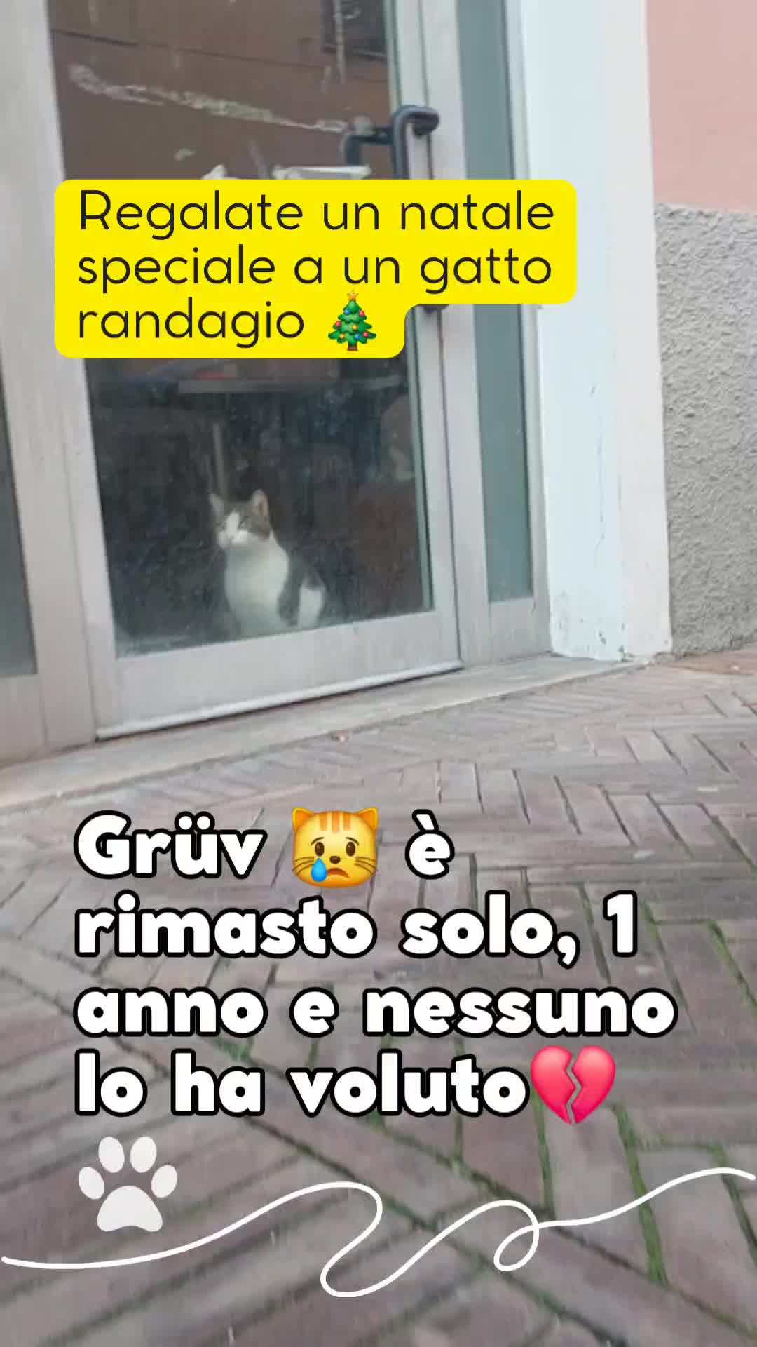 @Federica