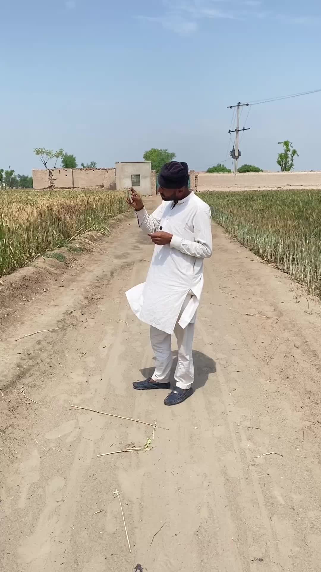 @Shujabadi Brand official