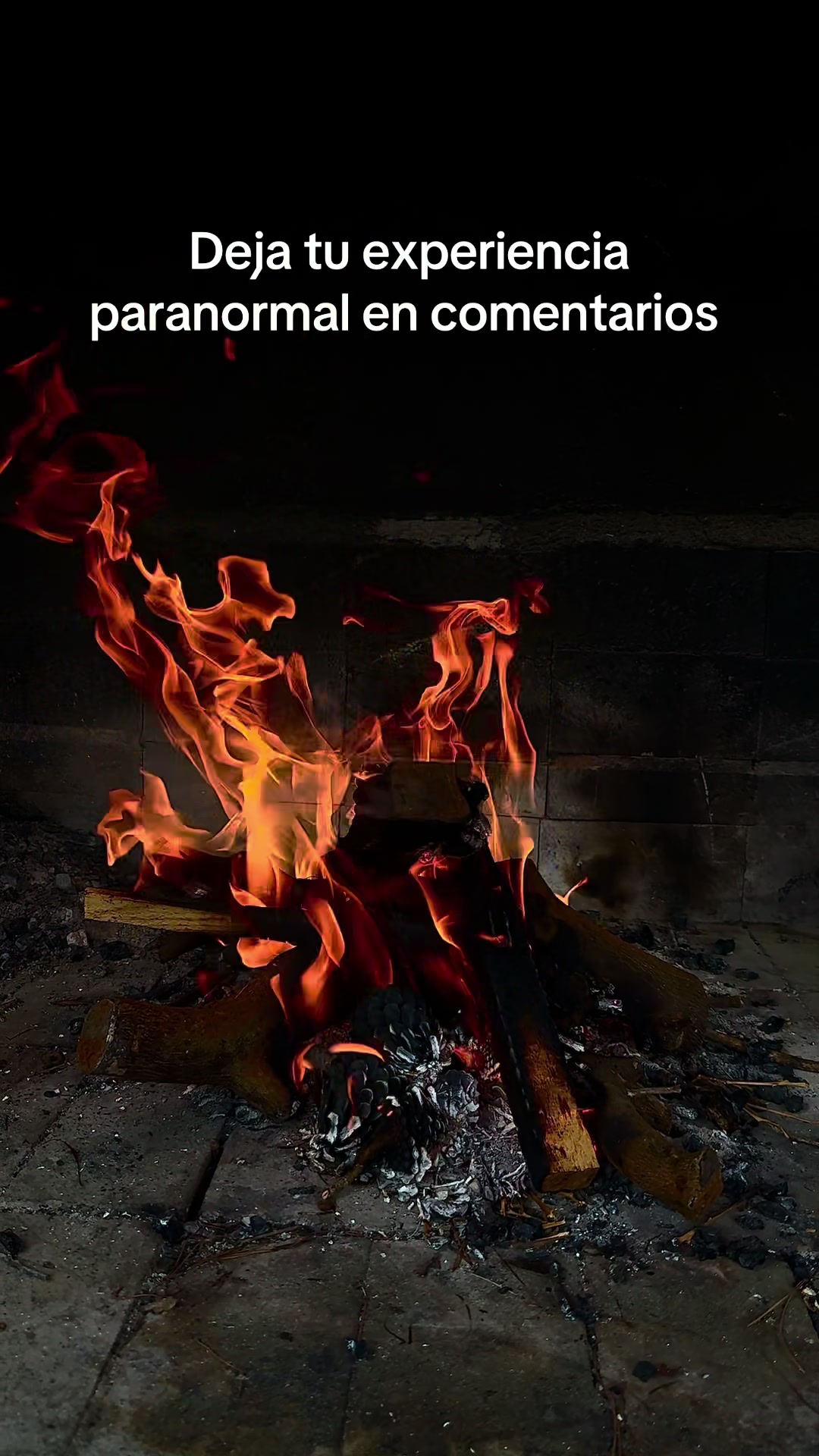 @Cazador de momias