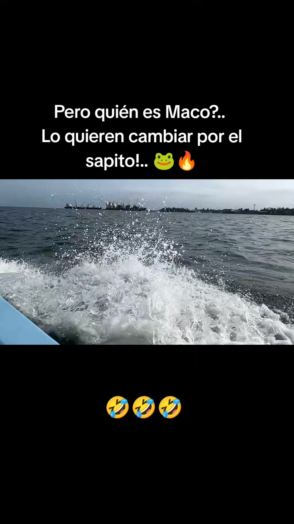 @tigre_502