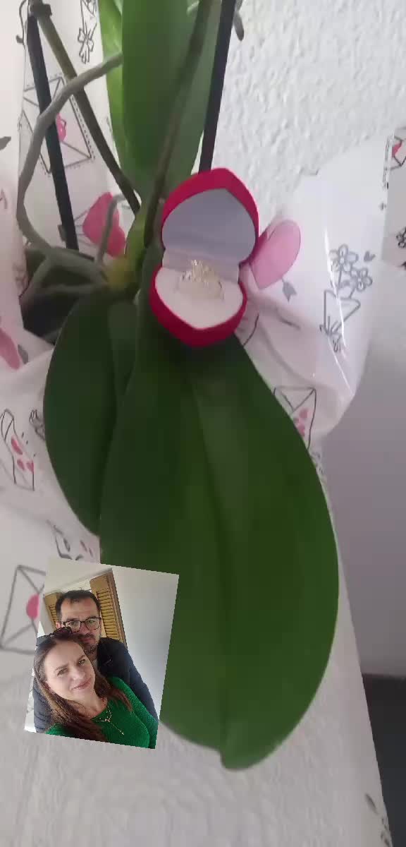 @teutahoxha