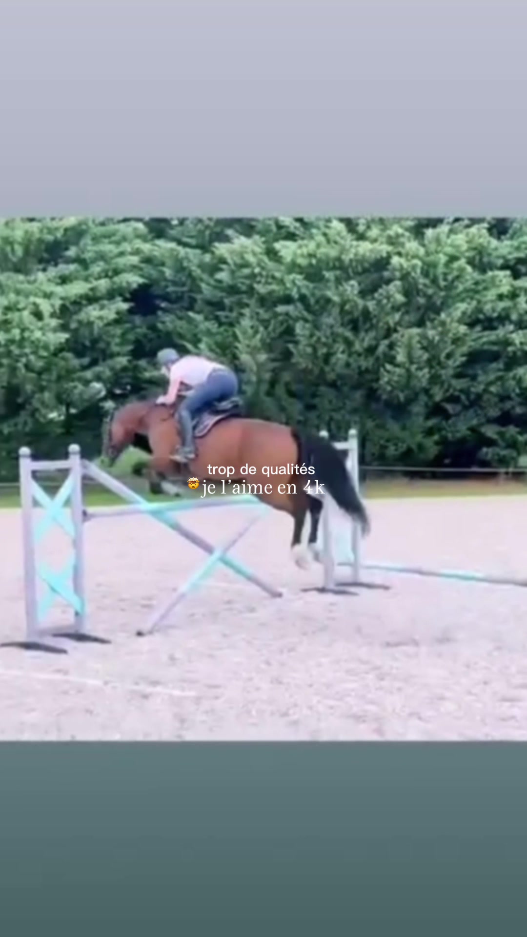 @Dakota Wayne