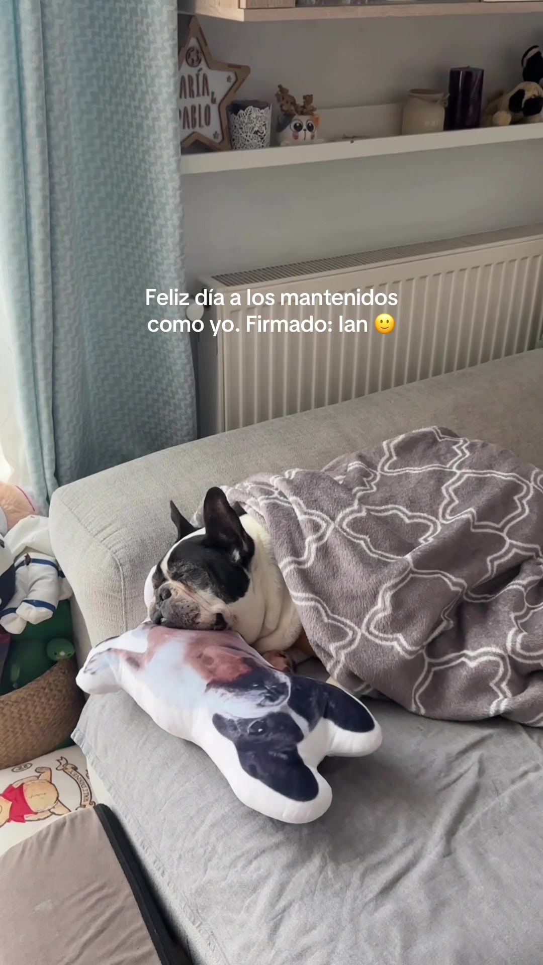 @emedemaestra5