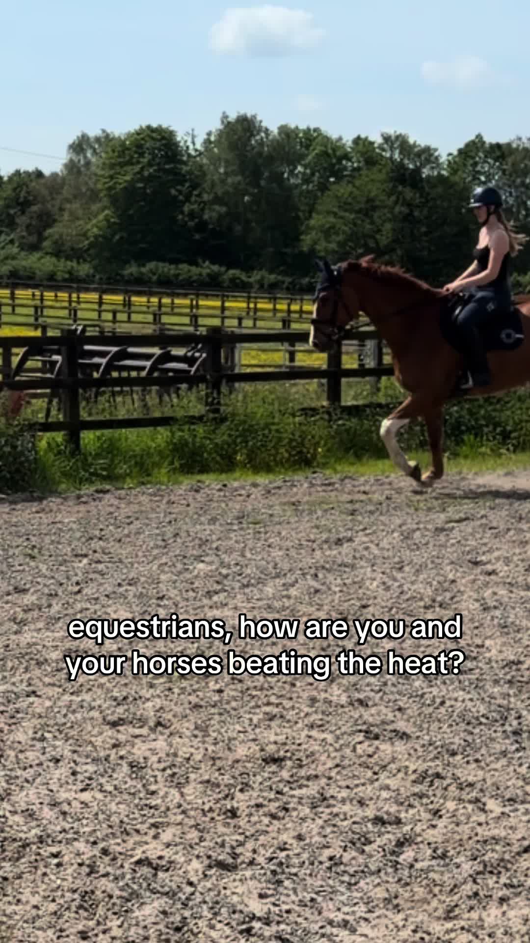 @Lilly & Bruno 🐴