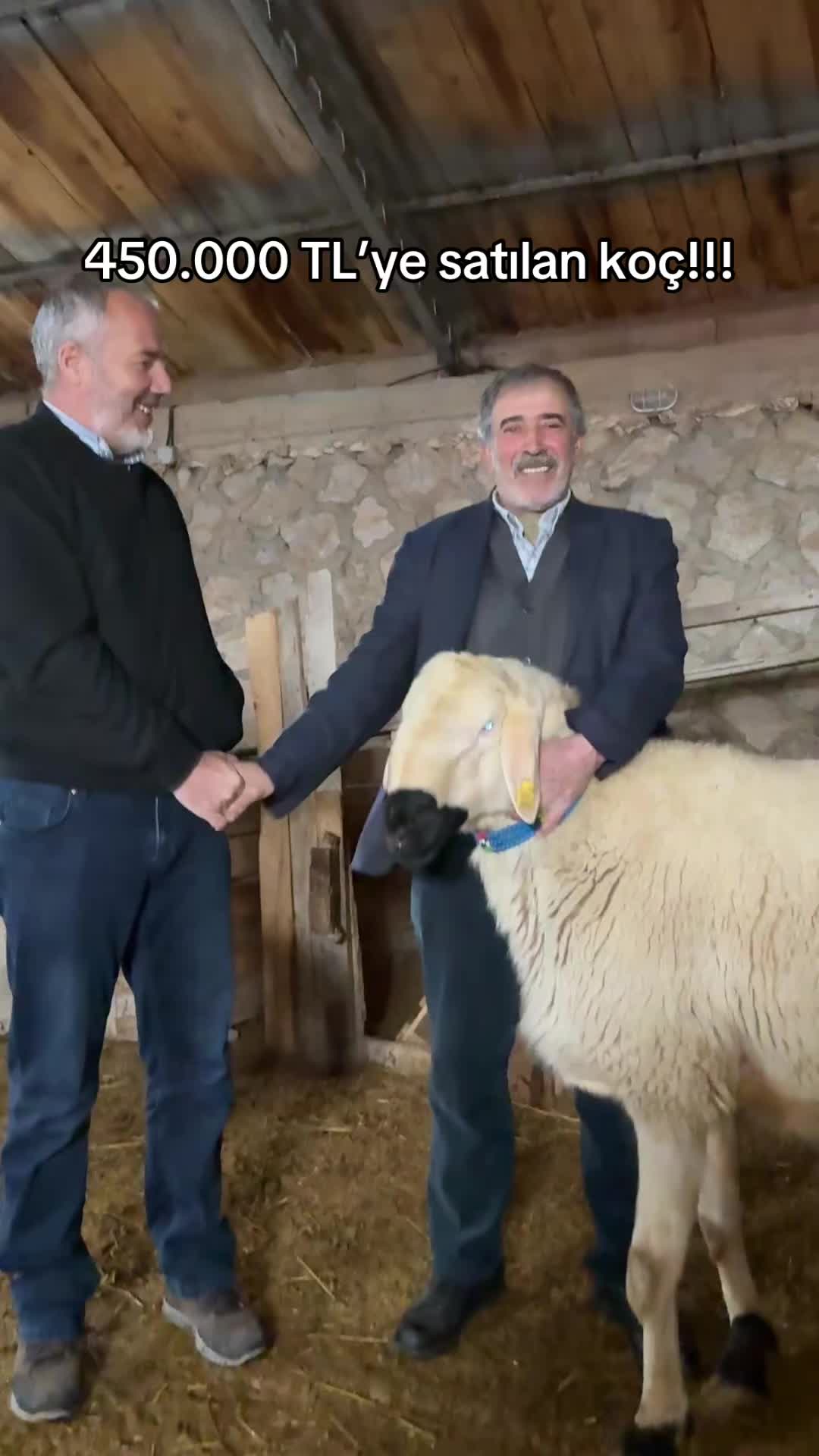 @Tarık &Ouml;zt&uuml;rk