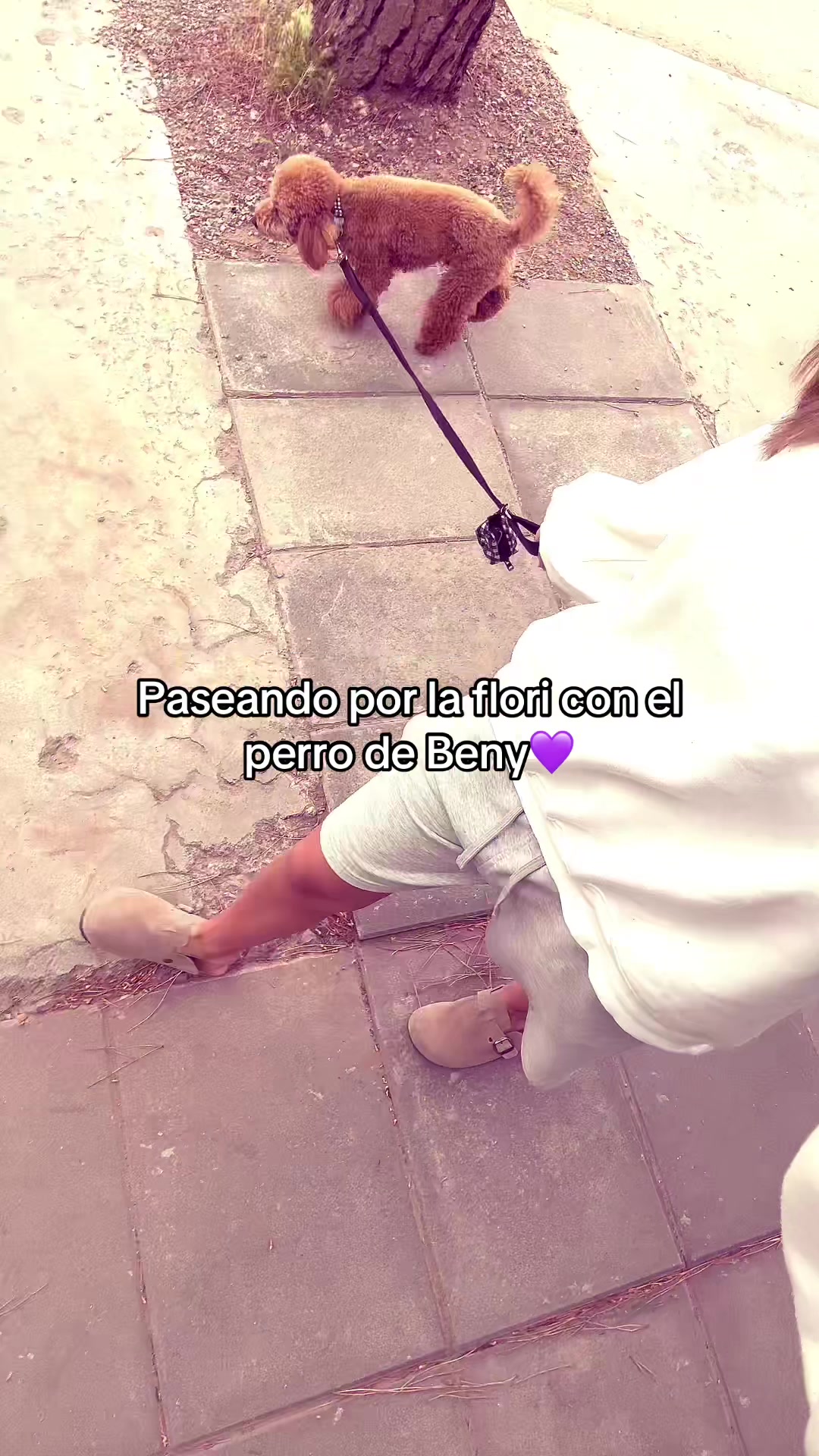 @bertsss