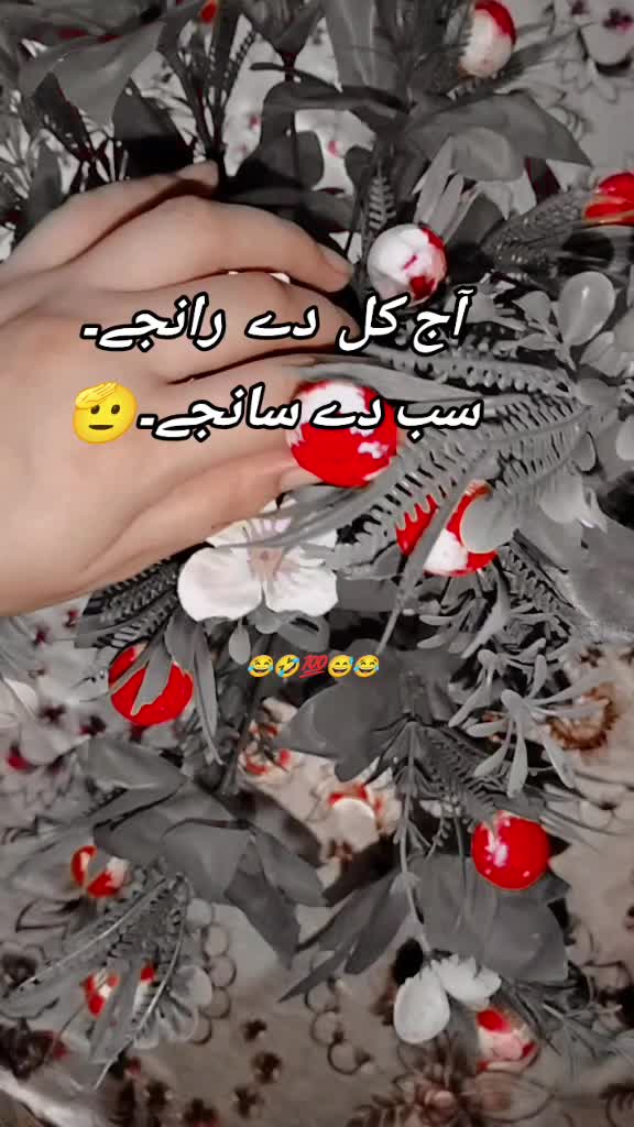 @Mehro🧝🏻