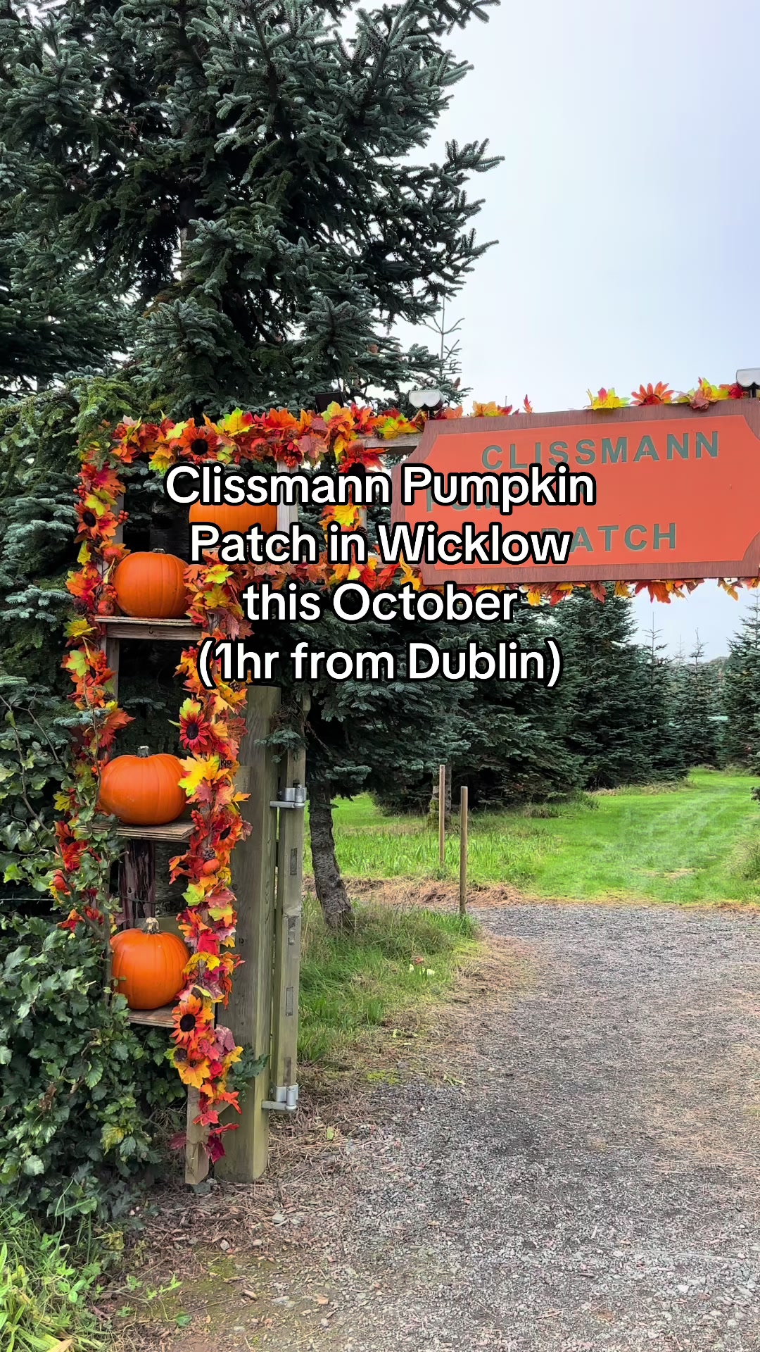 @DiscoverDublin