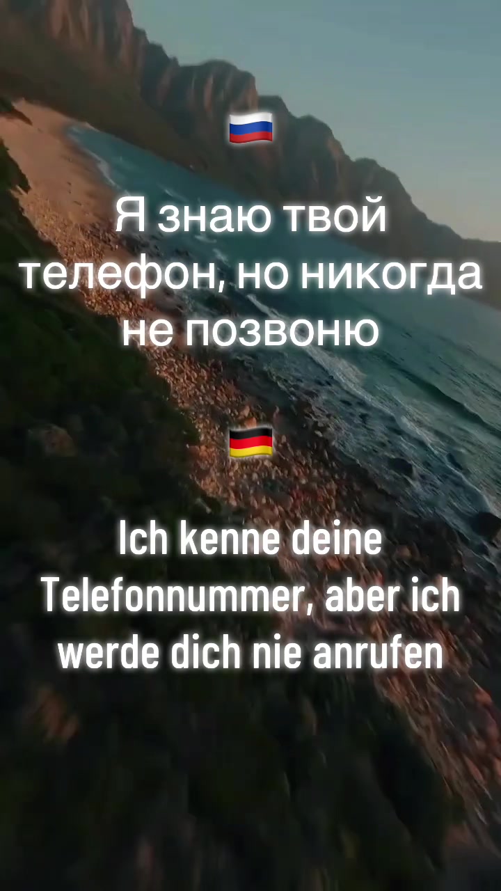 @VibeTranslator