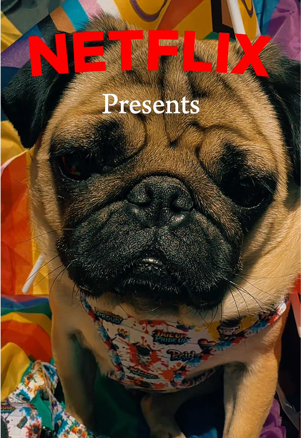 @Phil The Pug