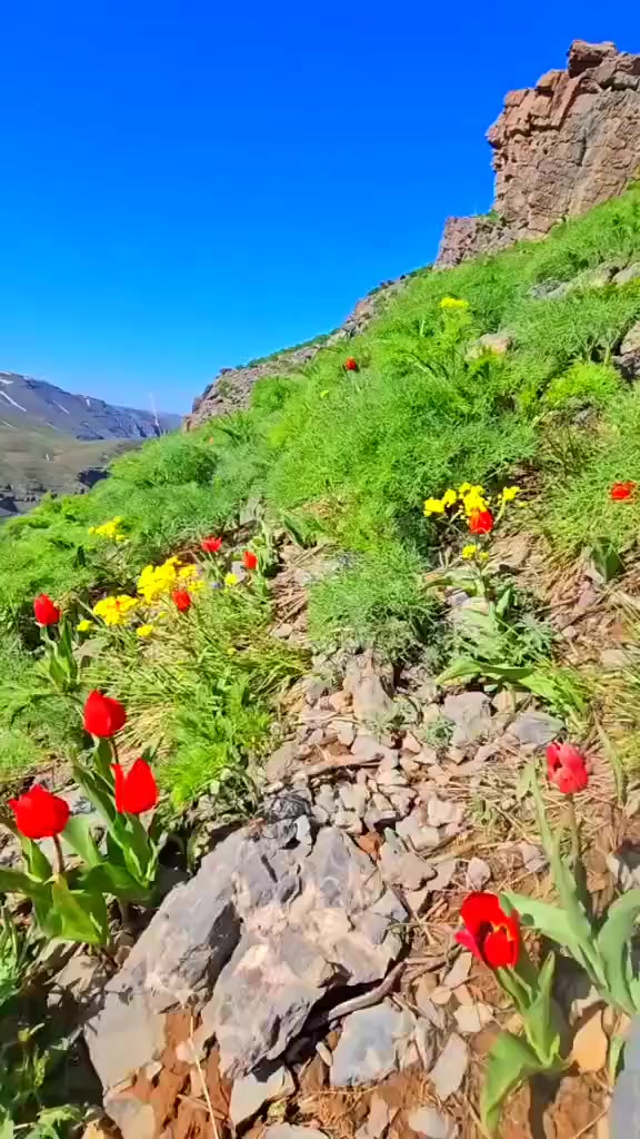@murat47