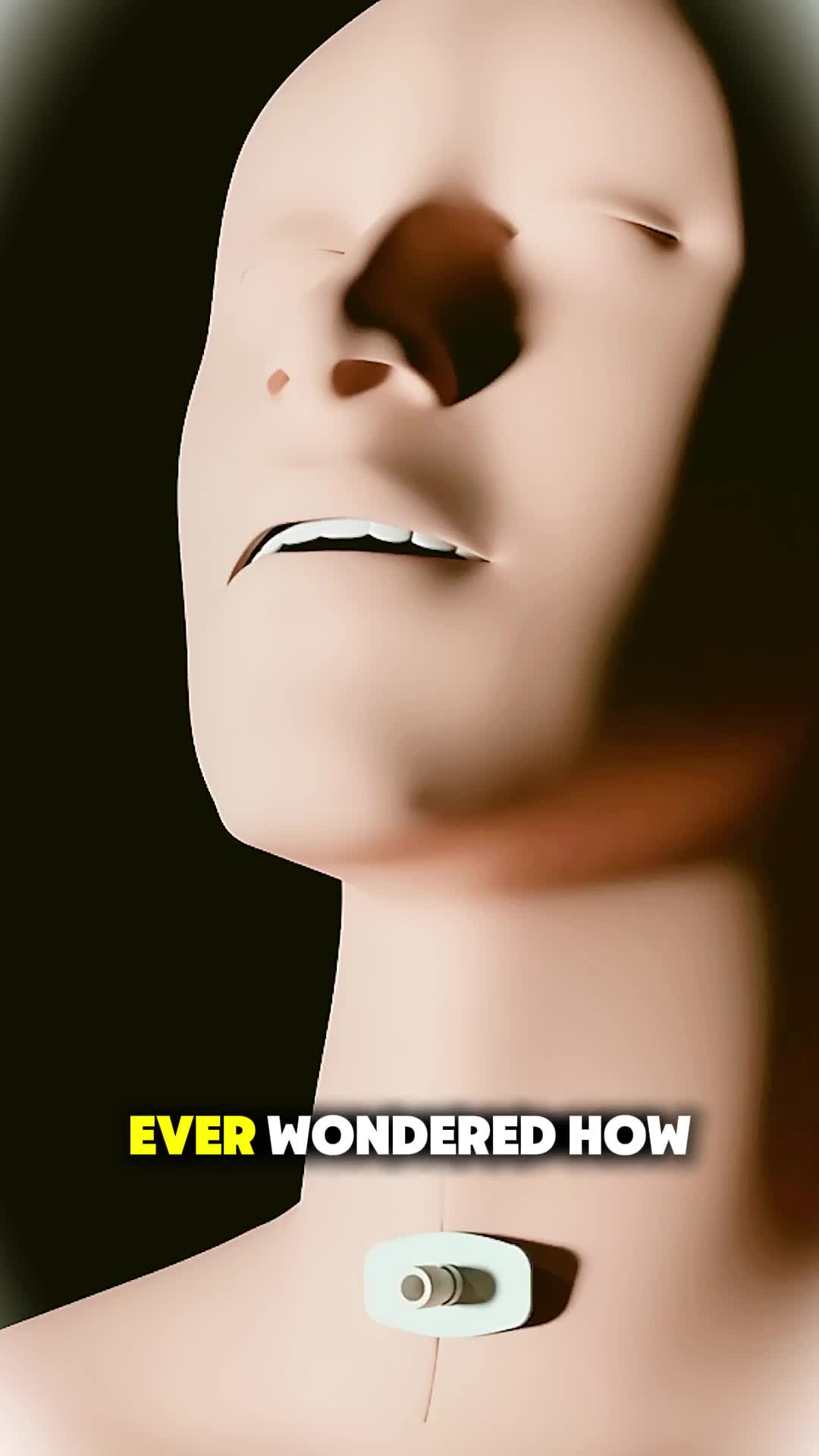 @Human 3D