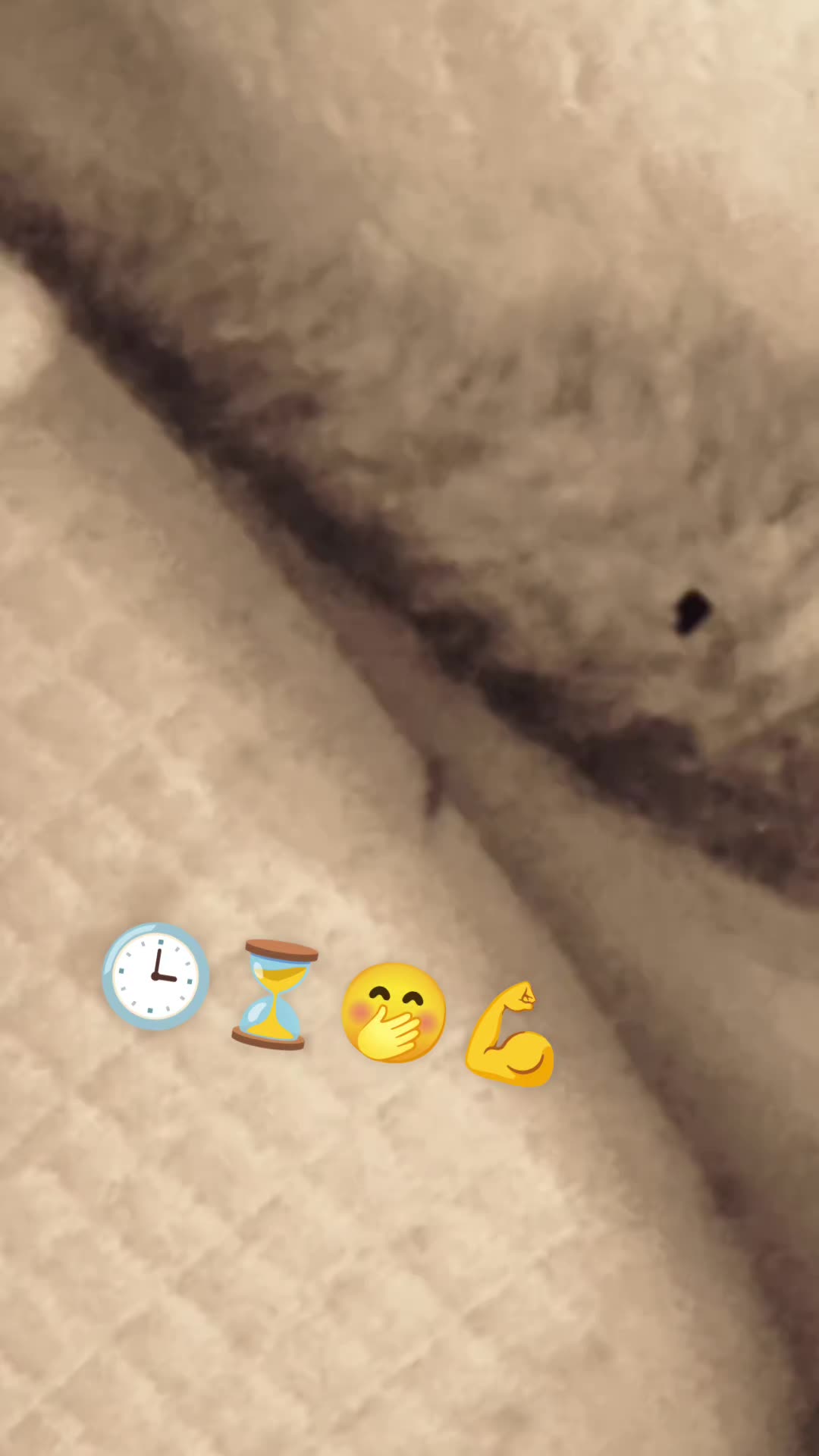 @terremoto