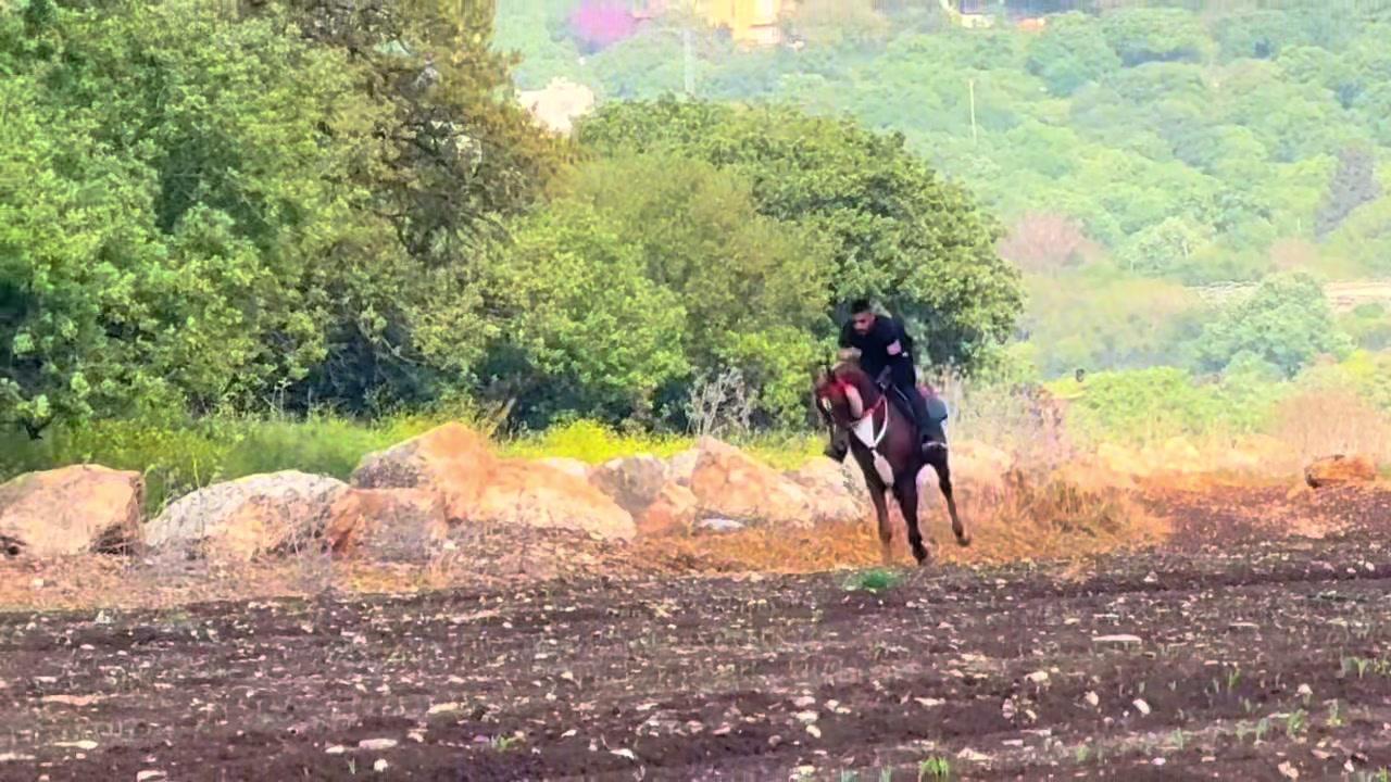 @חוסיין כעביה🐎