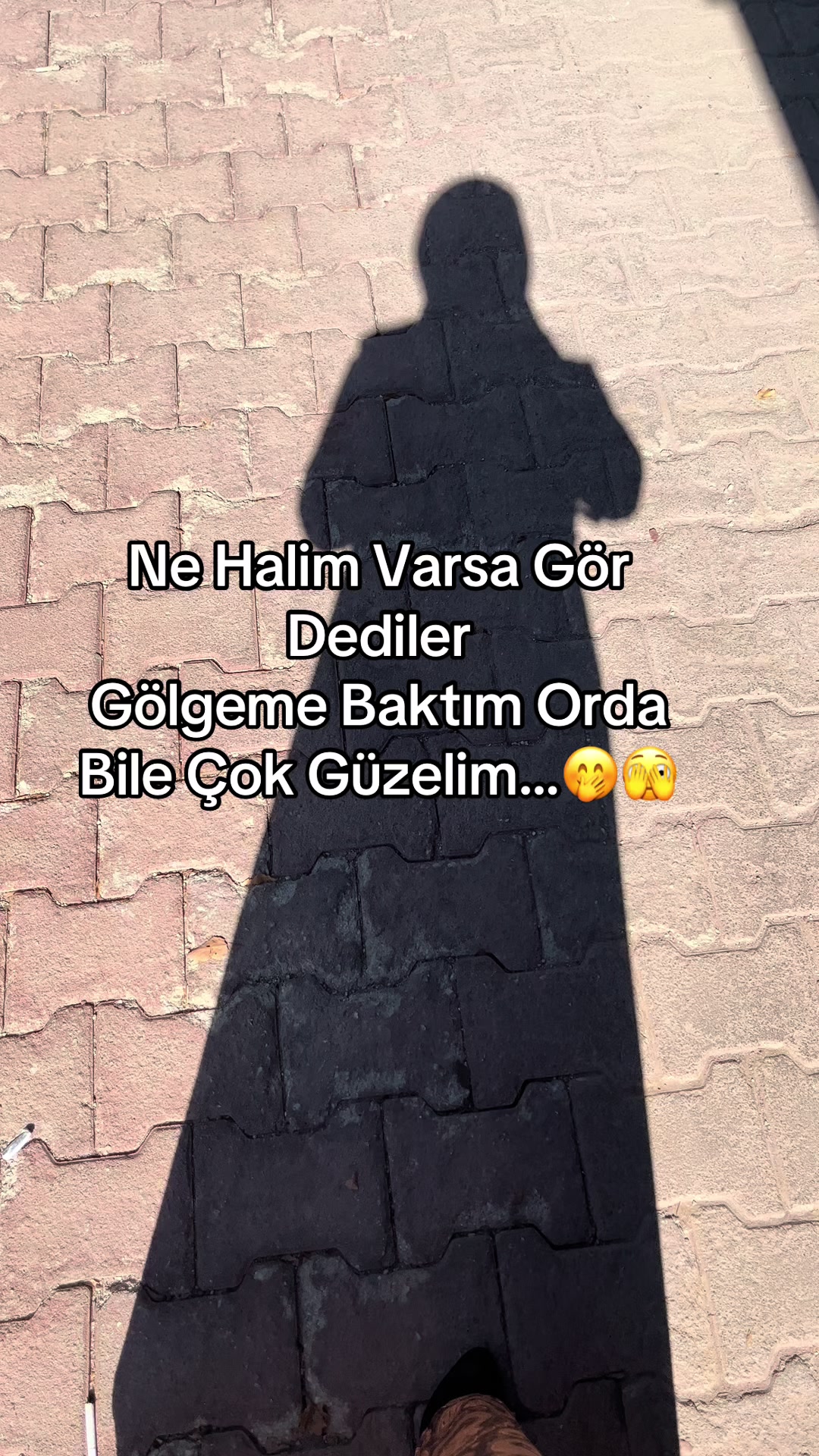 @gul.4201