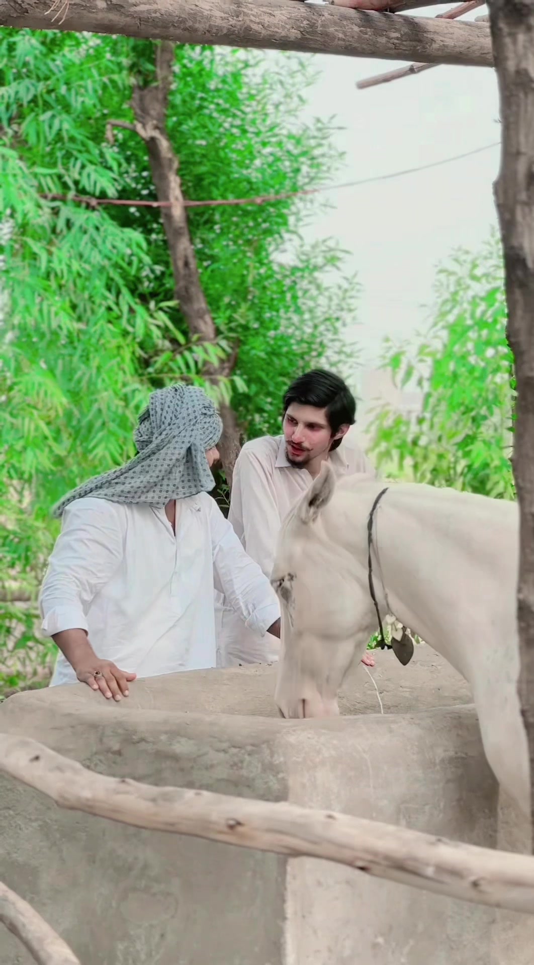 @سردار احمد ڈوگر