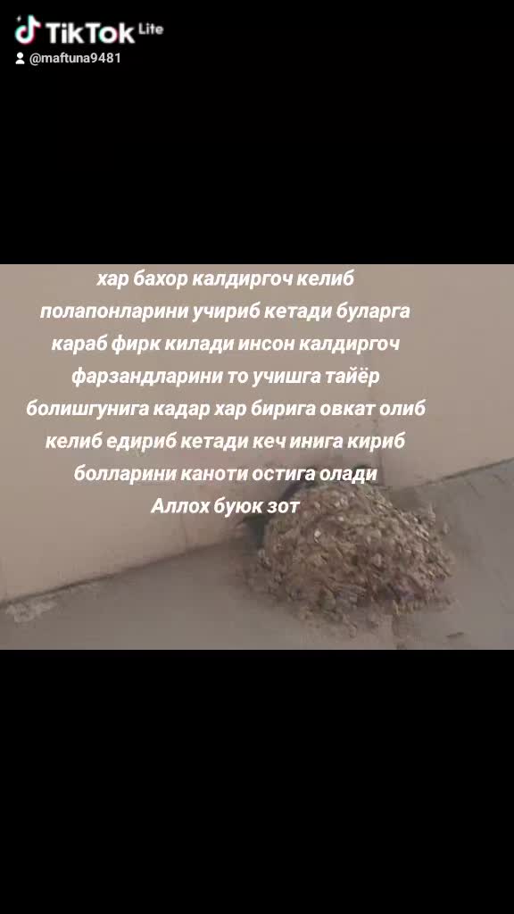 @Maftuna94