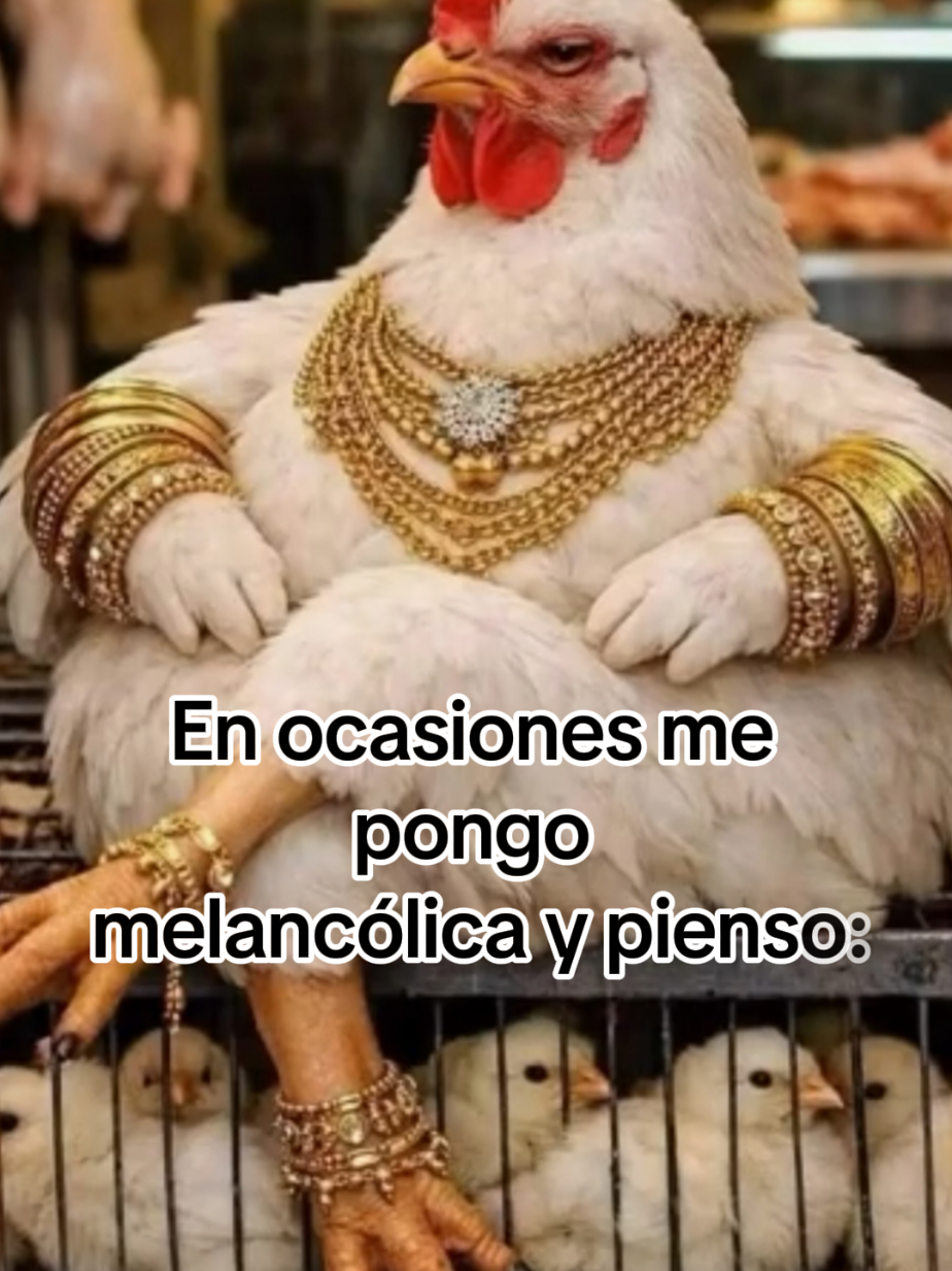 @Polita