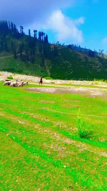 @Hi🎻🇵🇰804🎻OK📿🚭🇸🇦