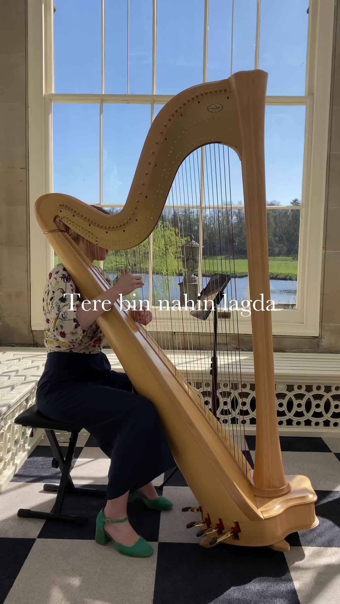 @bollywoodharpist