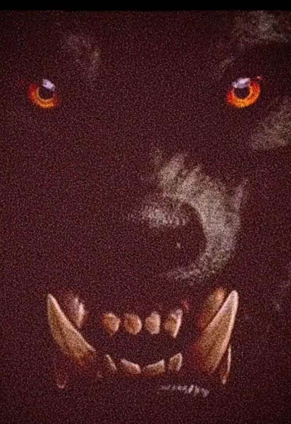 @Luis Domenzain