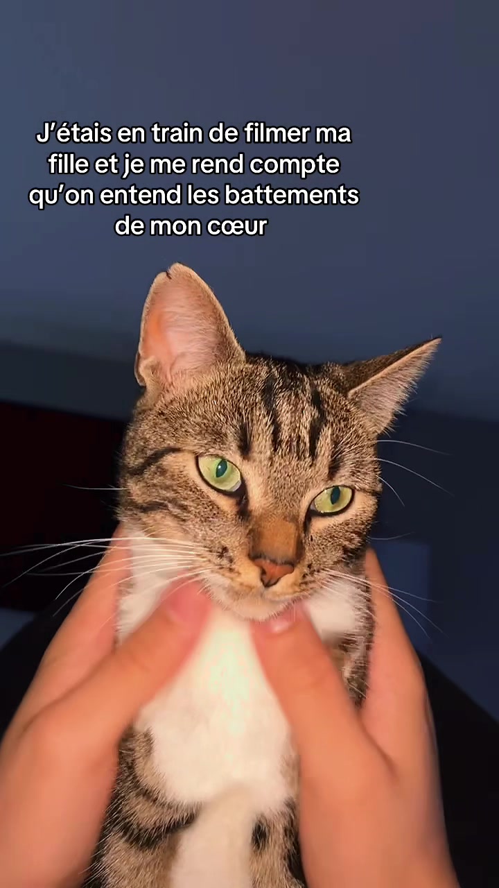 @Derbaoui