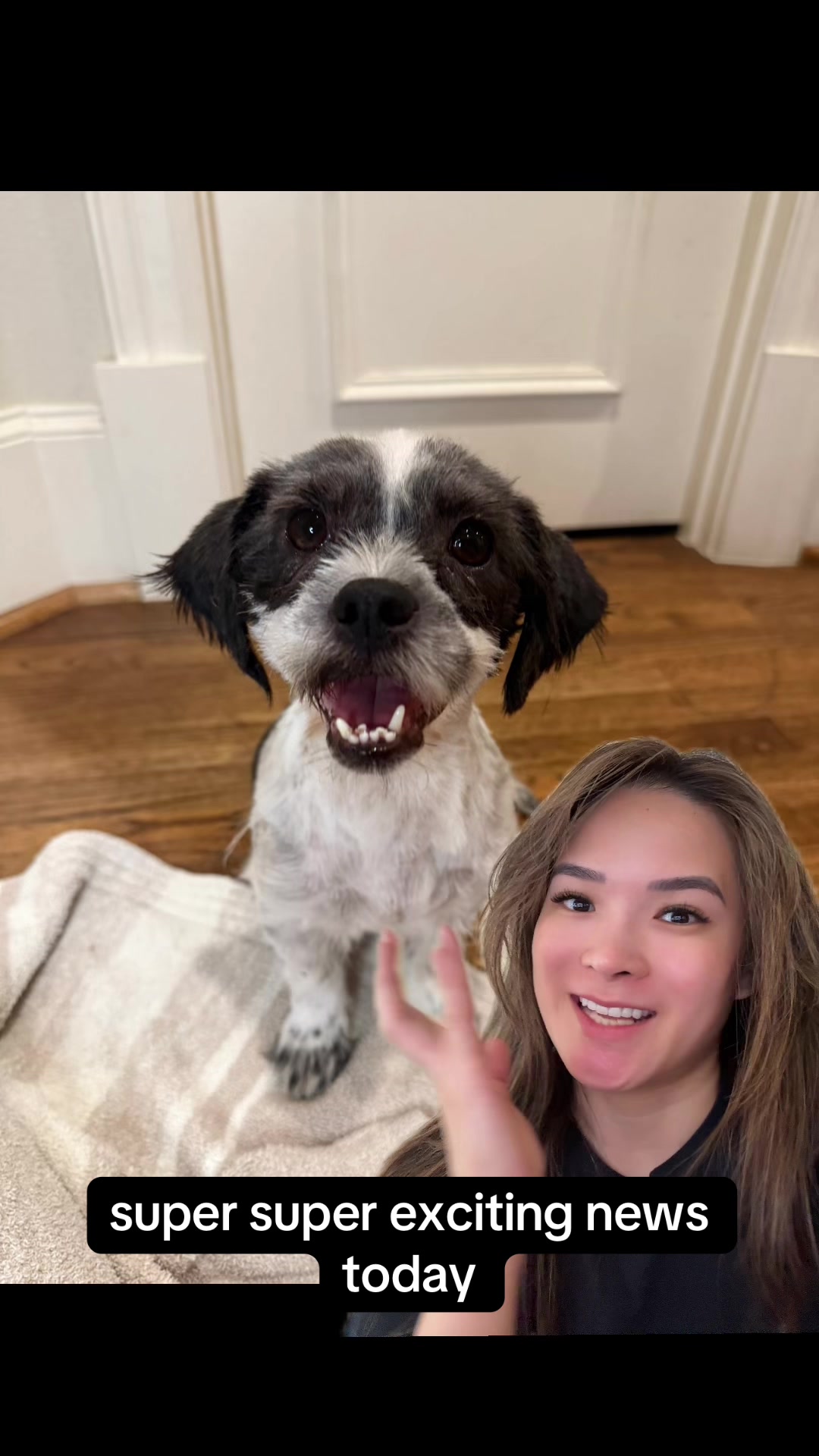@whitneysdogs