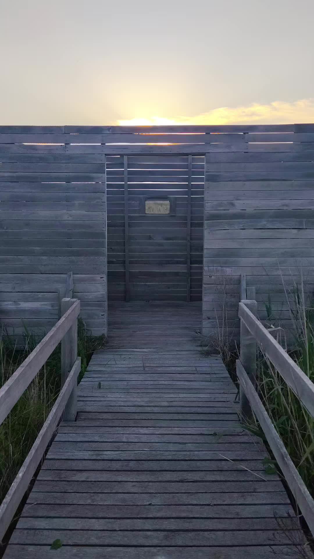 @🌊#