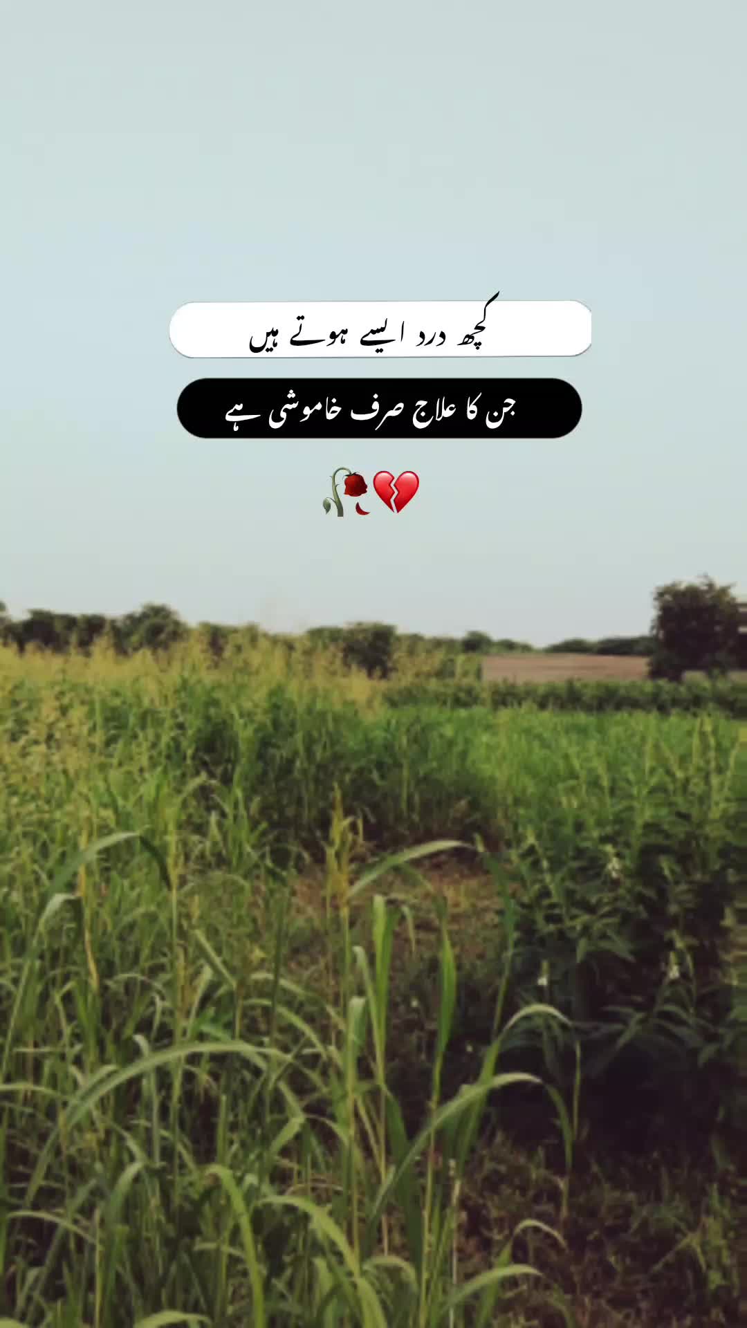 @🖤☬ ٹوٹا دِل ☬🖤