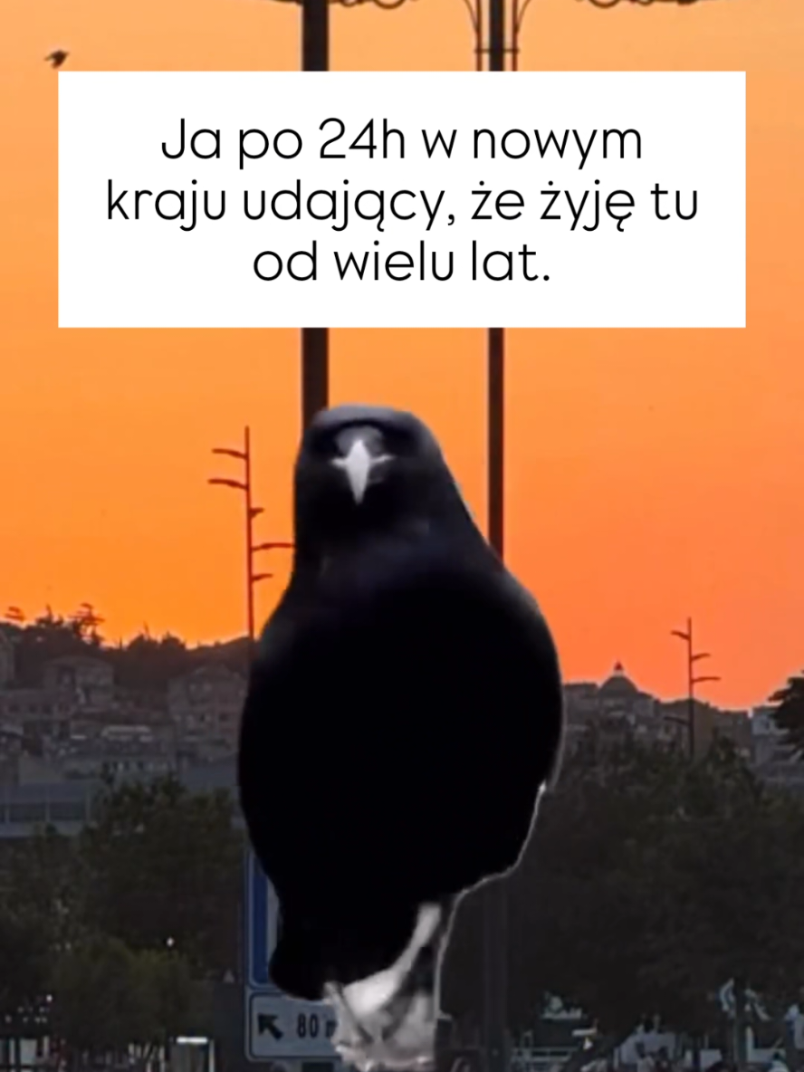 @W Innym Świecie